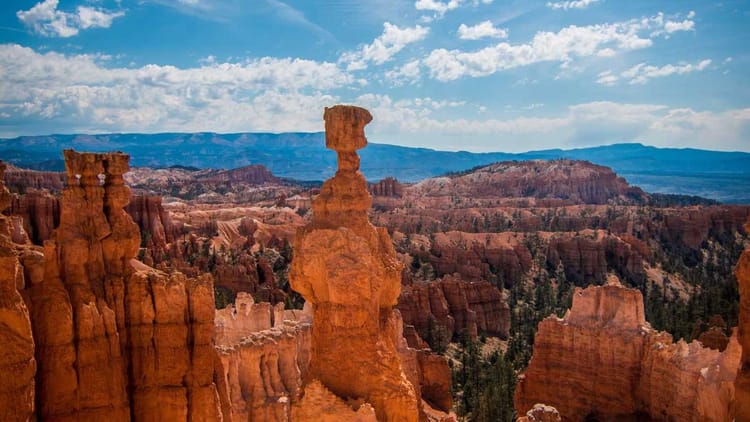 When the House Grows Quiet: Finding Purpose After the Kids Move Out