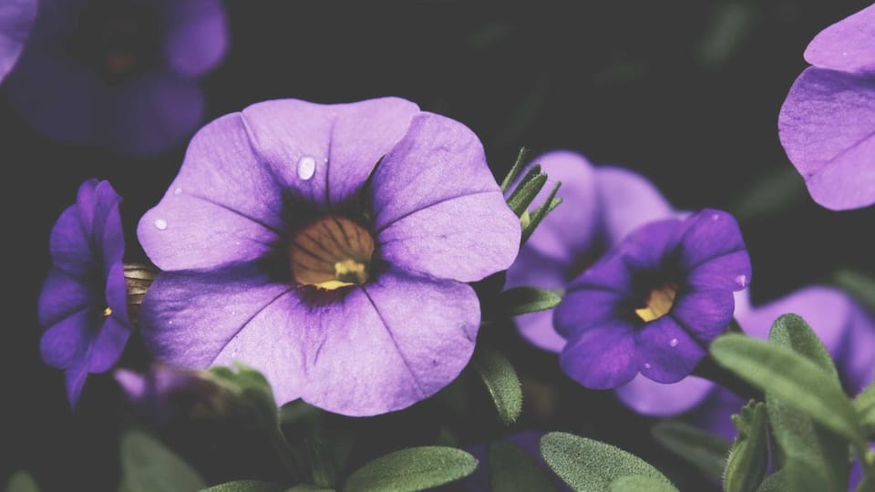 When Fixing a Lost Relationship Drains Your Sense of Self