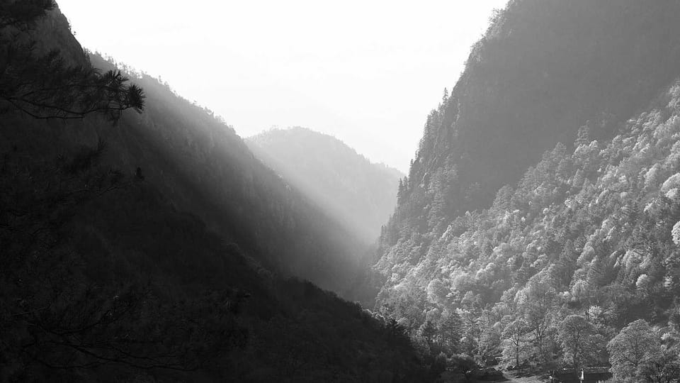 When Your Friends Echo Your Ex and Your Voice Gets Lost